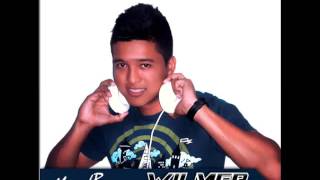 Alahin feat. Natalia Damini - Feelin the Love (Wilmer Calderon Remix 2012)