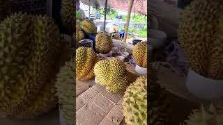 THE ART OF CUTTING DURIAN THE KING OF FRUIT #shorts