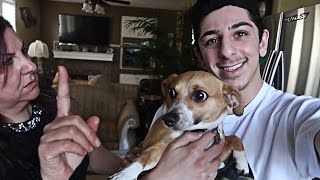 SURPRISING MY MOM WITH A NEW PUPPY!! (SHE WAS PISSED) | FaZe Rug