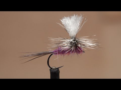 Parachute Purple Haze