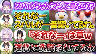 意識しない内にホロライブの鳥として運営に飼いならされていることに気付くスバル【大空スバル ホロライブ 切り抜き動画 猫又おかゆ 常闇トワ 大神ミオ 常MOS】