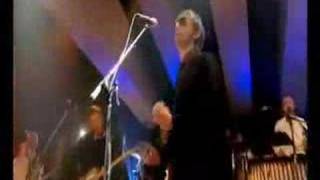 The Divine Comedy 'To Die A Virgin' Live on Later 2006