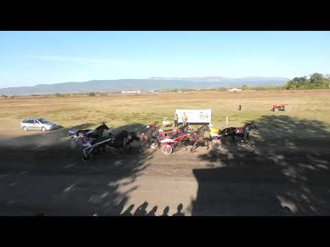 Trka "Badi" 11.10 2019 Ironwill - Dejan Petrović