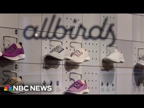 From shoes to AI: Why Allbirds is pivoting and changing its business