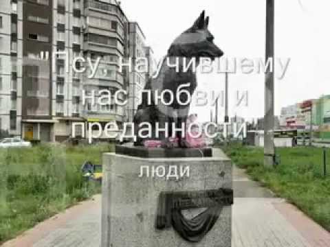 Сочинение Описание Памятника Хатико Сочинение Описание Памятника Хатико