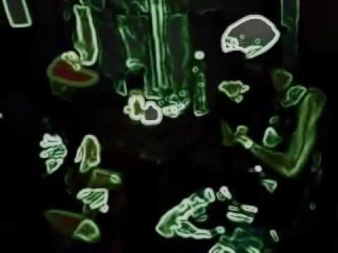 download lagu mp3 mp4 Www Laz Com En Vivo, download lagu Www Laz Com En Vivo gratis, unduh video klip Www Laz Com En Vivo