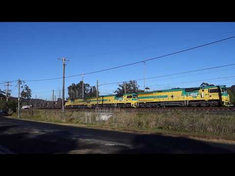 Triple CEY's with SSR VP04 loaded coalie - 14/9/17