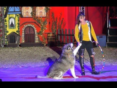 Magyar Nemzeti Cirkusz Richter 2017 - Rosi Hochegger ( Monte-Carlo Silver Clown ) - 4K