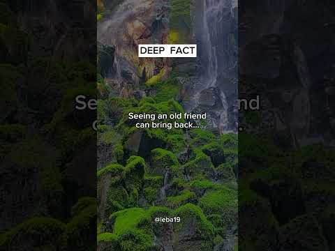 Seeing an old friend can bring back... #deep #deepfacts #girl #boys