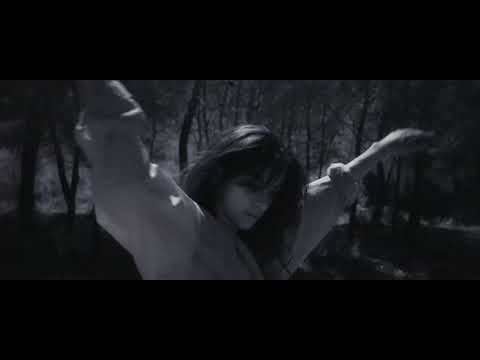 Youth Valley - Pegasus (Official Video)