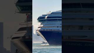 Carnival Sunrise 🛳️ #like #share #comment #subscribe #youtubeshorts #fun #shortvideo #shorts #short