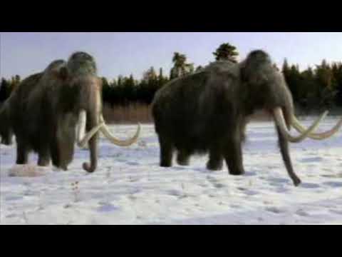 Mammoth March (walking with beasts) - Benjamin Bartlett
