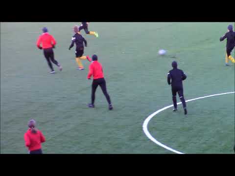 Pallokissat C15 - KuPS D13