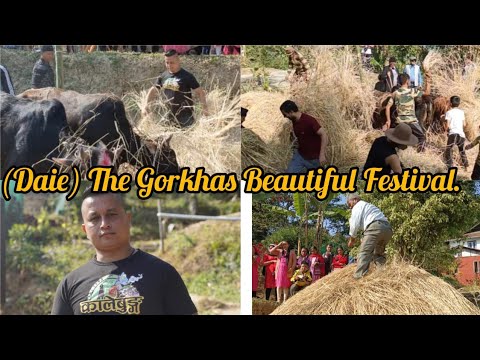 (Daie) The Gorkhas Beautiful Festival.#cultural