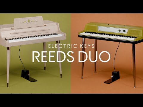 Meet Electric Keys – Jade and Moonshell | Native Instruments