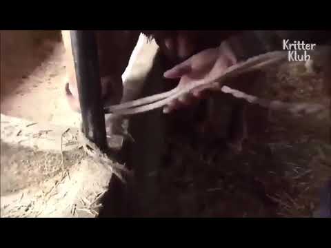 ٢٦ أبريل، ٢٠١٩