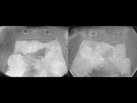 Preview for Pulp & Paper