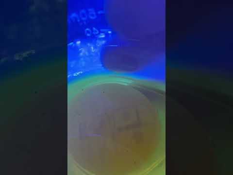 Feeding time #music #remix #beats #dj #hiphop #reef #marineaquarium #housereef #reefaquarium #coral