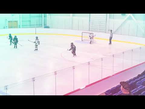 Cambridge Hawks vs Brantford 99ers // U11Bb // Nov 2, 2025