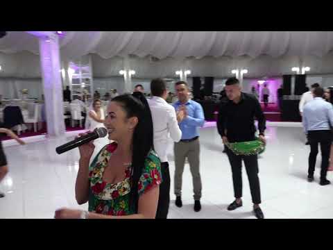 Mihai Tudor Family Band  -Program Tiganesc-  Royal Park 2019