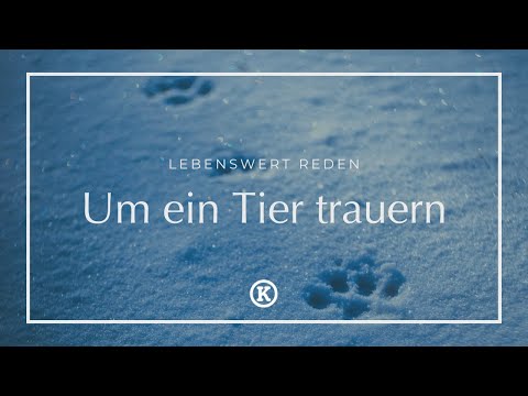 Trauern um ein verstorbenes Haustier - warum dies so wichtig ist!