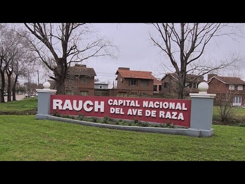 Rauch 2026