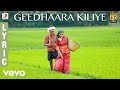 Nimir Geedhaara Kiliye Lyric Udhayanidhi Stalin Namitha Pramod Parvatii