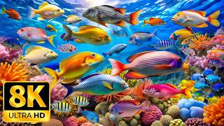 Download lagu AQUARIUM 8K (UHD) 🐠 Beautiful Fish Swimming & Colorful Sea Life Video | Relaxing Music for Sleep#4 mp3 Download lagu AQUARIUM 8K (UHD) 🐠 Beautiful Fish Swimming & Colorful Sea Life Video | Relaxing Music for Sleep#4 mp3