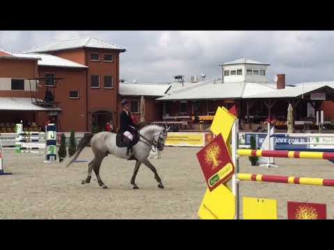 Colombina (Action Breaker x Colandro) 2019/09/07 II półfinał SCMK Olsza - 130cm I SPRZEDANA / SOLD