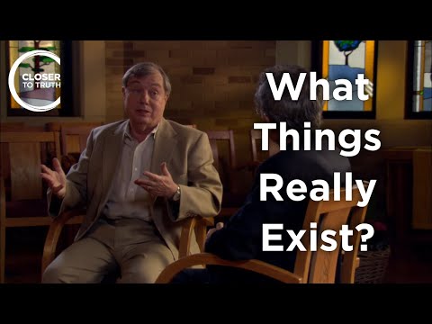 Peter van Inwagen - What Things Really Exist?