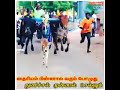 KattaBomman Kottail Kaladi Vacchathu Kannukutty