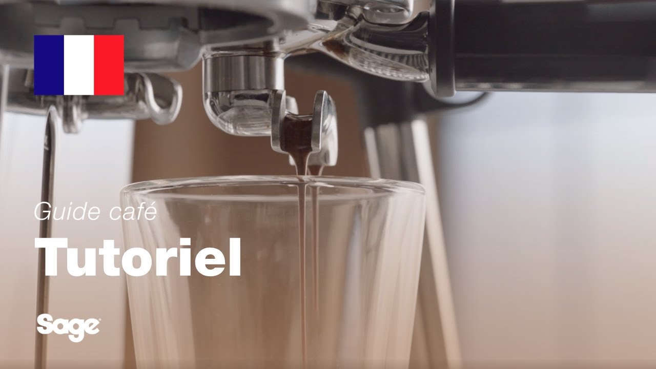 Guide didactique du café Breville - Équilibrer votre extraction