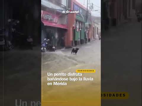 se reportó una tormenta eléctrica en Tovar, estado Mérida, las lluvias inundaron las calles