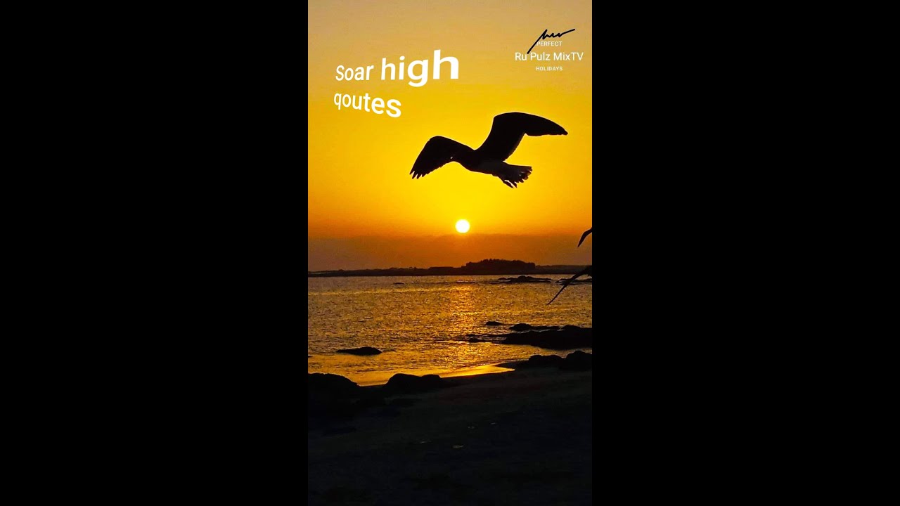 #quotes -Soar high quote..