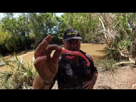 Barra lures and techniques in detail.