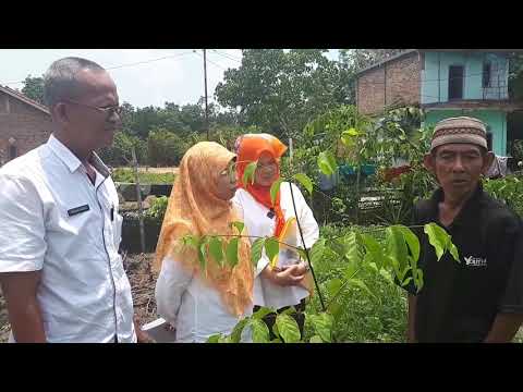Gadis Excited foto Vagina Obat apa yang dapat Anda ambil untuk core potensi
