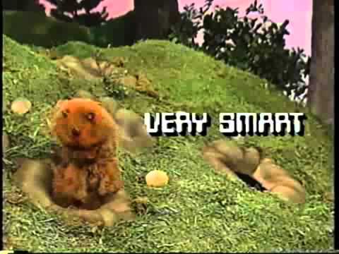 We are Different from Billy Bunny's Animal Songs