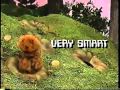 We Are Different From Billy Bunny S Animal Songs