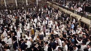 אדון הסליחות - סליחות בכותל המערבי 2023