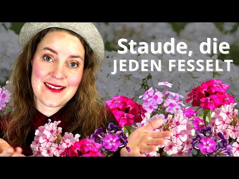 Diese Pflanze zieht die Blicke magisch an!