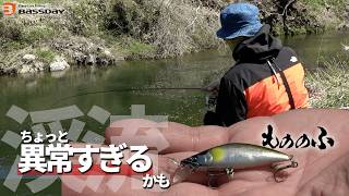 バスデイ株式会社