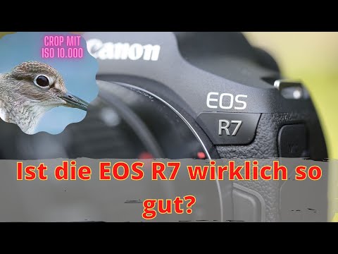 Ist die EOS R7 wirklich so gut?