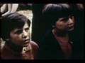 Visionaries by the Pines - Apparitions of the Virgin Mary