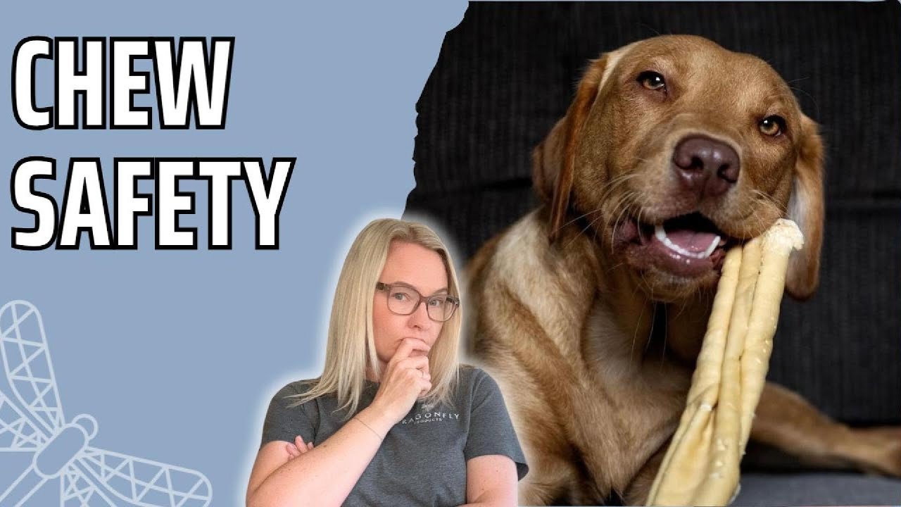 Which Chews Are Safe for My Dog?