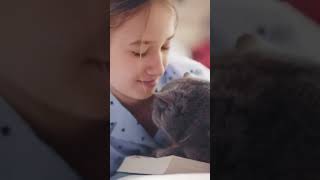 Download lagu Hug Your Pet and Fall in Love! #pets #shorts mp3