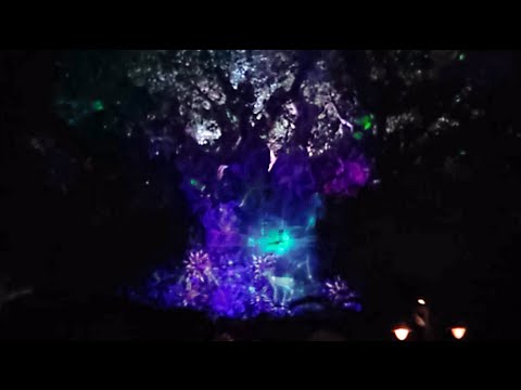 Tree of Life Nighttime Awakenings Show @ Disney's Animal Kingdom (FULL SHOW HD POV May 5th, 2016)