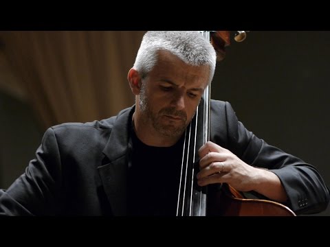 BOTTESINI, Concerto in B (1.mov) | Božo Paradžik & Budapesti Vonósok