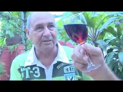 Renace arte de producir vinos artesanales en la ciudad Monumento de Cuba