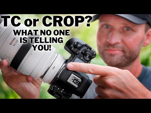 TC vs CROP — What No One Is Telling You!