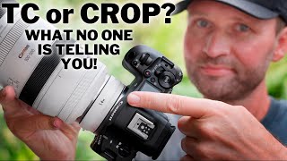 TC vs CROP — What No One Is Telling You!